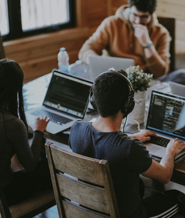 People working together on laptops